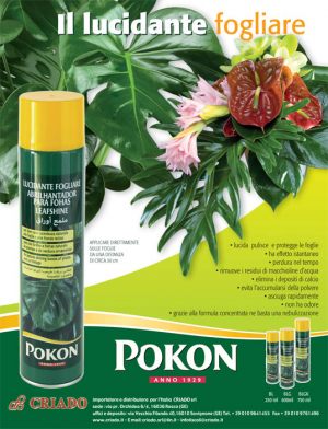 pokon